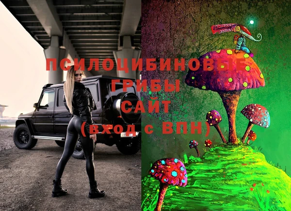 ECSTASY Корсаков