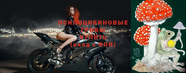 ECSTASY Корсаков