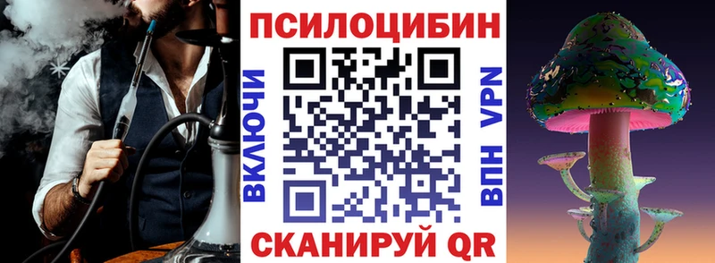 Галлюциногенные грибы Psilocybe  Киржач 
